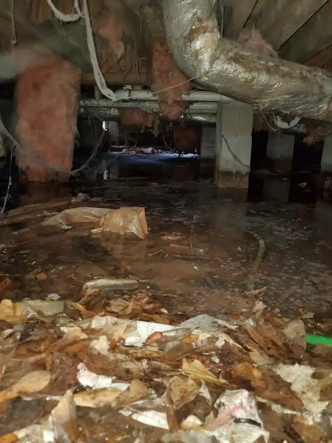 Crawl space flood assessment for Commercial Water Damage Restoration in Clarkston